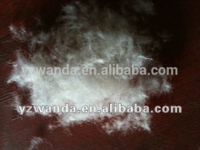 New wash 90% white down feather duck manufactory in China