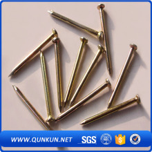 polished concrete corrugated roofing nails