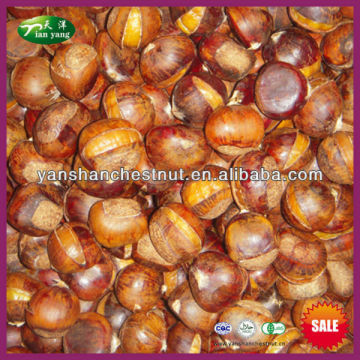 Organic IQF Cooked Ringent Chestnut