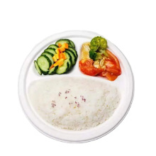 Biodegradable 3Compartment Sugarcane Bagasse Plate Lunch Box