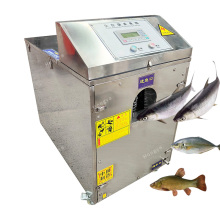 Automatic Fish Killing Machine