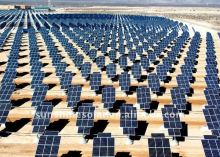 New designed Monocrystalline Silicon Solar Module