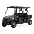 4 Sitzer seitlich UTV 400cc