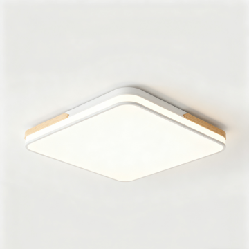 Modern LED Flush Mount Ceiling Light