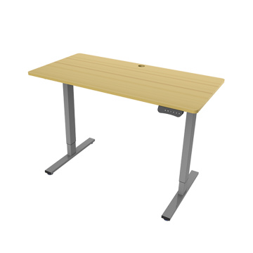 Ergonomic Electric Height Adjustable Desk