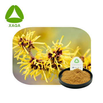 Extrato de Hazel Hamamelis Virginiana Tannin Powder