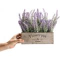 Potted Lavender Plant with Wooden Tray