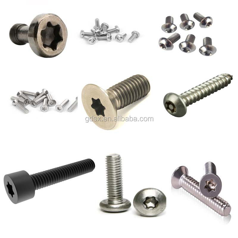 Stainless steel 304 torx head screw in dongguan