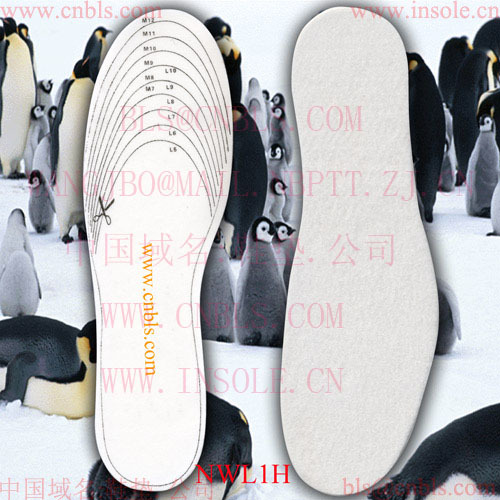 2016 winter heated insoles for ball of foot high quality remoted control heated insole