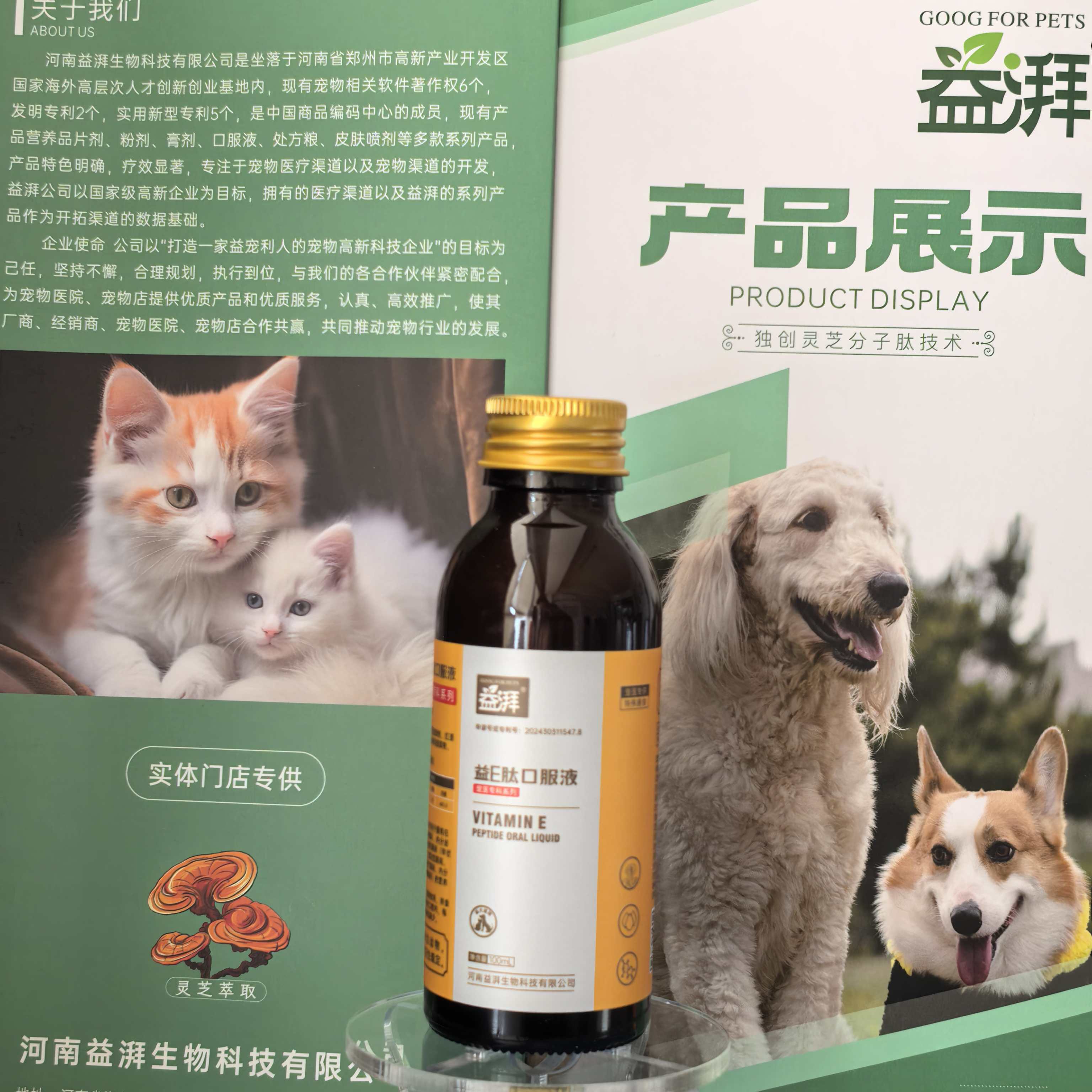 Cogumelo Reishi com Vitamina E para Animais de Estimação13 Reishi Mushroom with Vitamin E for Pets13