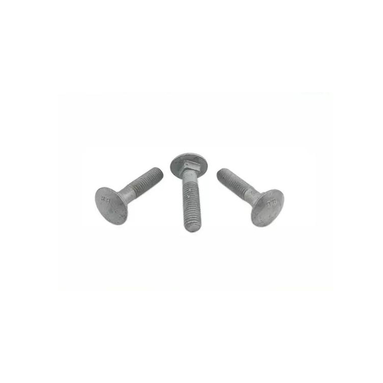 Carbon Steel Hot Dip Carriage Bolts