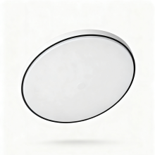 Cool White LED Ceiling Light