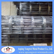 YW-anping Manufactory, cage welded mesh, 2x2 galvanized welded wire mesh, weld wire mesh rolls