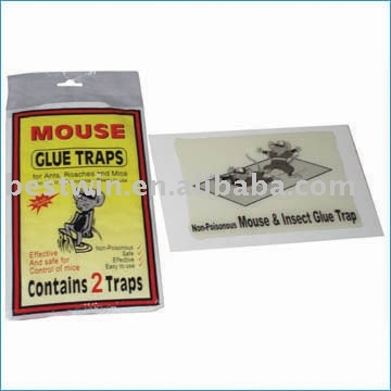 mouse glue traps