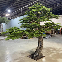 Large Indoor Outdoor Artificial Pine Tree for Garden Decor