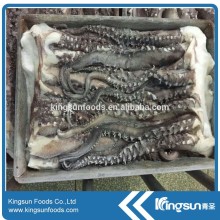 Frozen Giant Squid Tentacle 100-200g