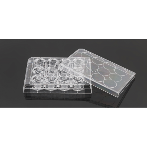 PC Memberane Cell Culture Inserts สำหรับแผ่น 12 หลุม