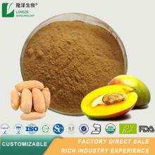 100% pure Spray Dried mango juice powder