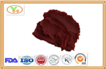 tomato paste plant,canned tomato paste,wholesale tomato paste