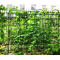 Garden growth support plant cover frame