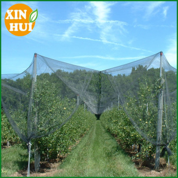 plastic plant protection netting anti hail netting