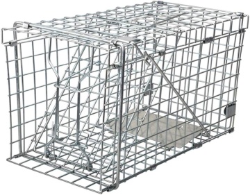 Squirrel Trap Collapsible Humane Live Squirrel Cage Trap