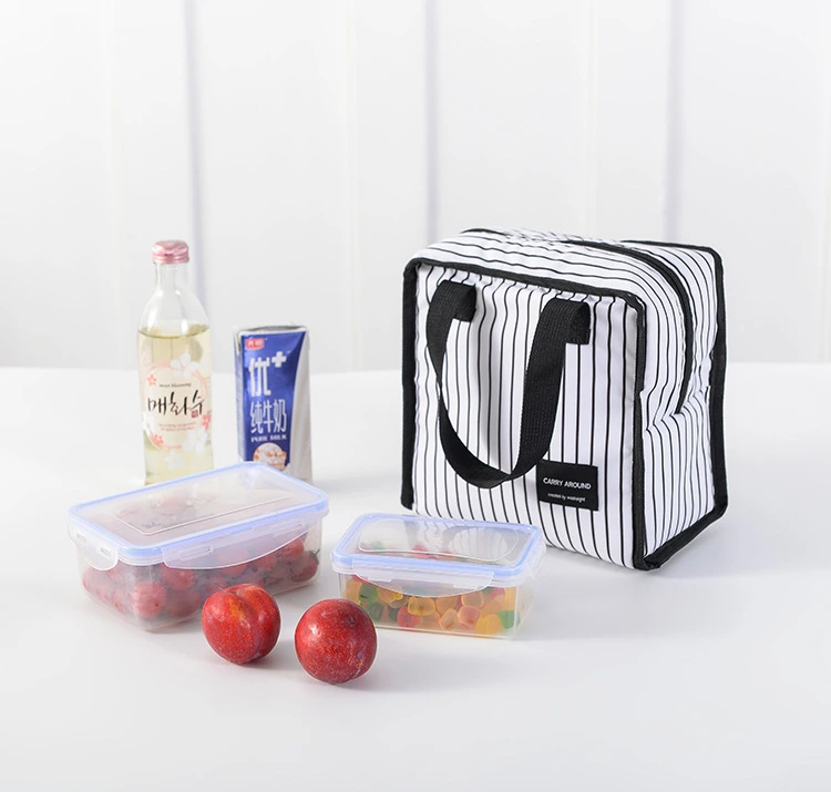 2021 Lunch Bag Outdoor Waterproof Insulated Cooler Bag