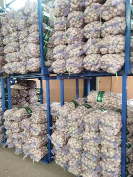 Supreme Selected Pure White Garlic