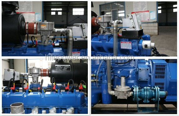 AC Three Phase Output Type gas engine generator power plant