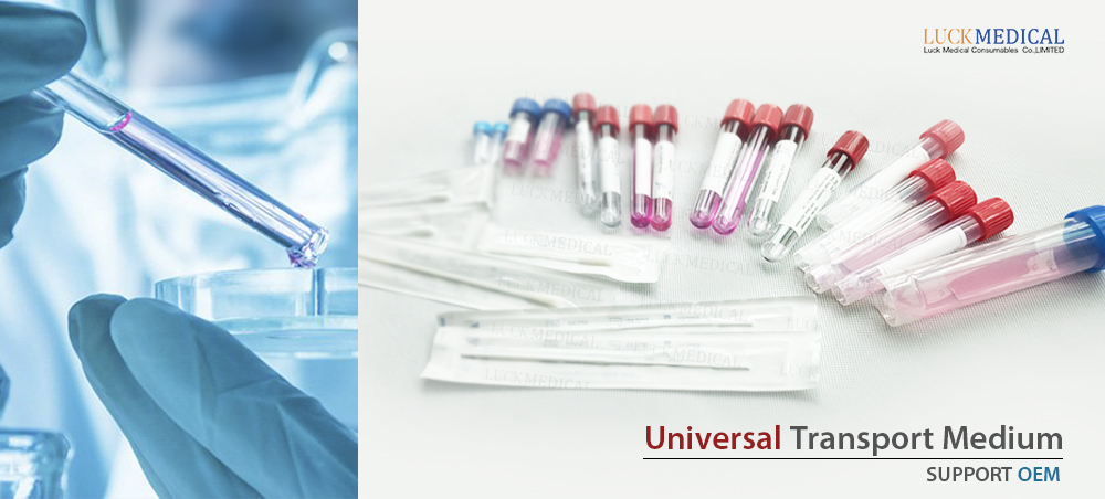 Beschreibung Virales Transportrohr mit Tupfer Discribetion Viral Transport Tube With Swab