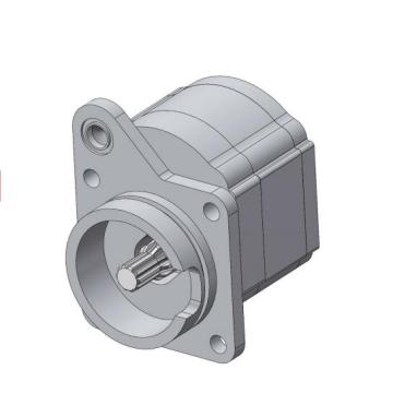 group 0 gear pump