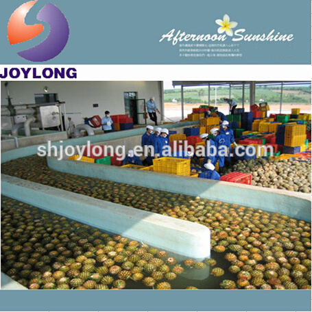 Automatic complete fruit juice production line in PET bottle