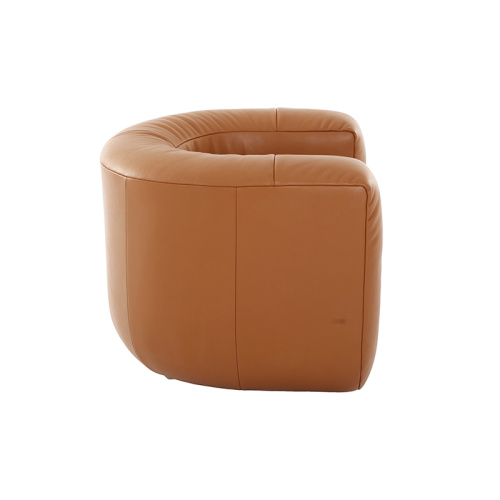 Modern Contemporary DS-707 Leather Armchair