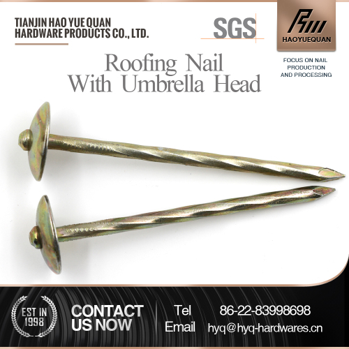 2-4 inches low carbon steel roofing nail with umbrella head (Tianjin manufacturer)                        
                                                                                Supplier's Choice