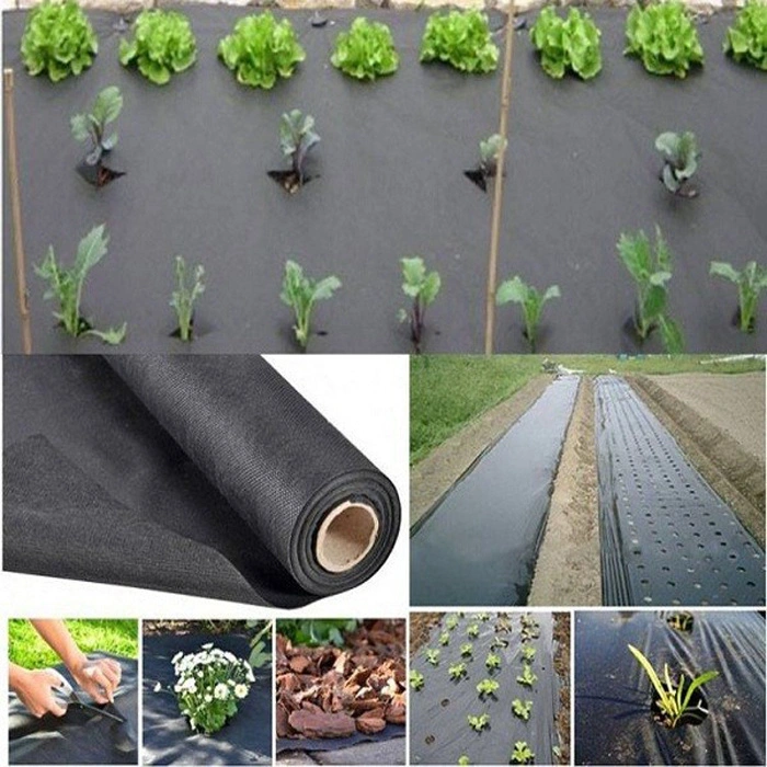 Agriculture Cover Sac D′hivernage PP Non Woven Winter Fleece Fabric Rolls