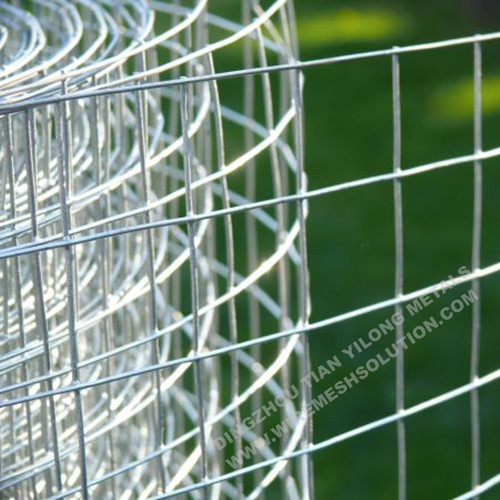 Welded Wire Fence Galvanized Against Rust