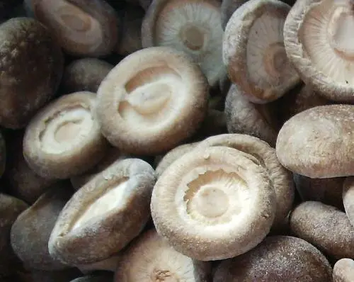 Frozen Shiitake Mushroom Whole Po-Ku Mushroom