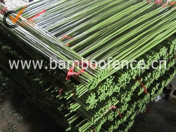 plastic bamboo cane