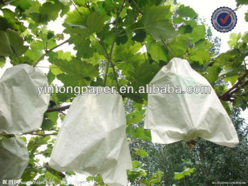 grape protectin bag grape packaing bag grpae growing paper bag