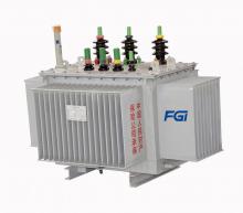 Oil Immersed Distribution Transformers