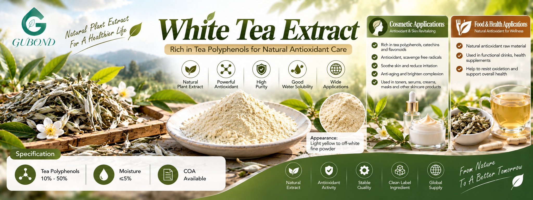 Экстракт белого чая White Tea Extract