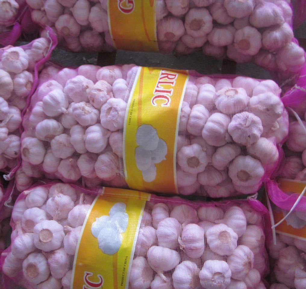 Alho branco puro fresco para exportação em bolsa de malha de 20 kg a granel Fresh Pure White Garlic For Export Garlic In Bulk 20kg Mesh Bag