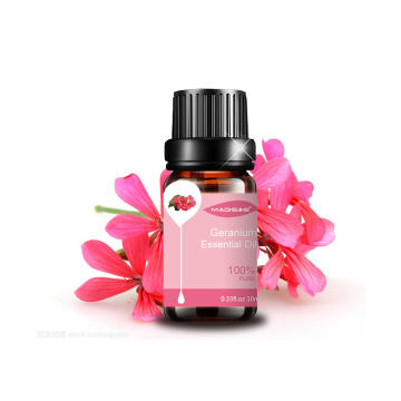 Pure Natural Extract Flavor Fragrance Gardenia Bulk Rose Geranium Essential Oil Geranium Oil with Wholesale Price 10ml