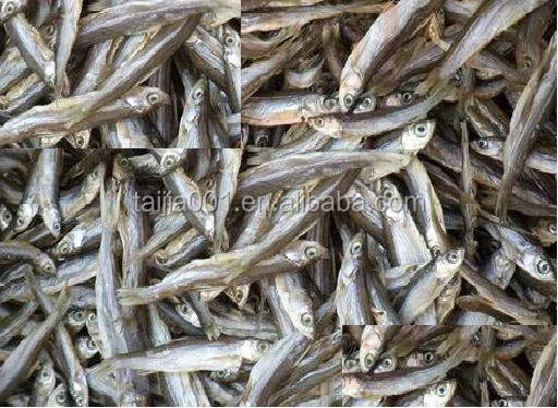 2020 Good Quality New Fish meal