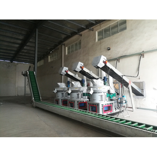 Vertical ring die sawdust powder pellet production line