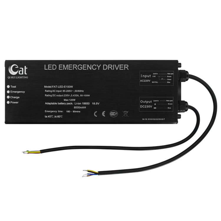 DC220V com inversor de emergência com LED de saída