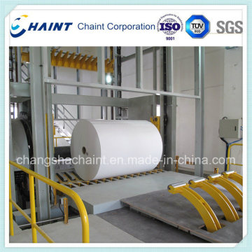 Roll Conveyor for Paper Mill - Chaint