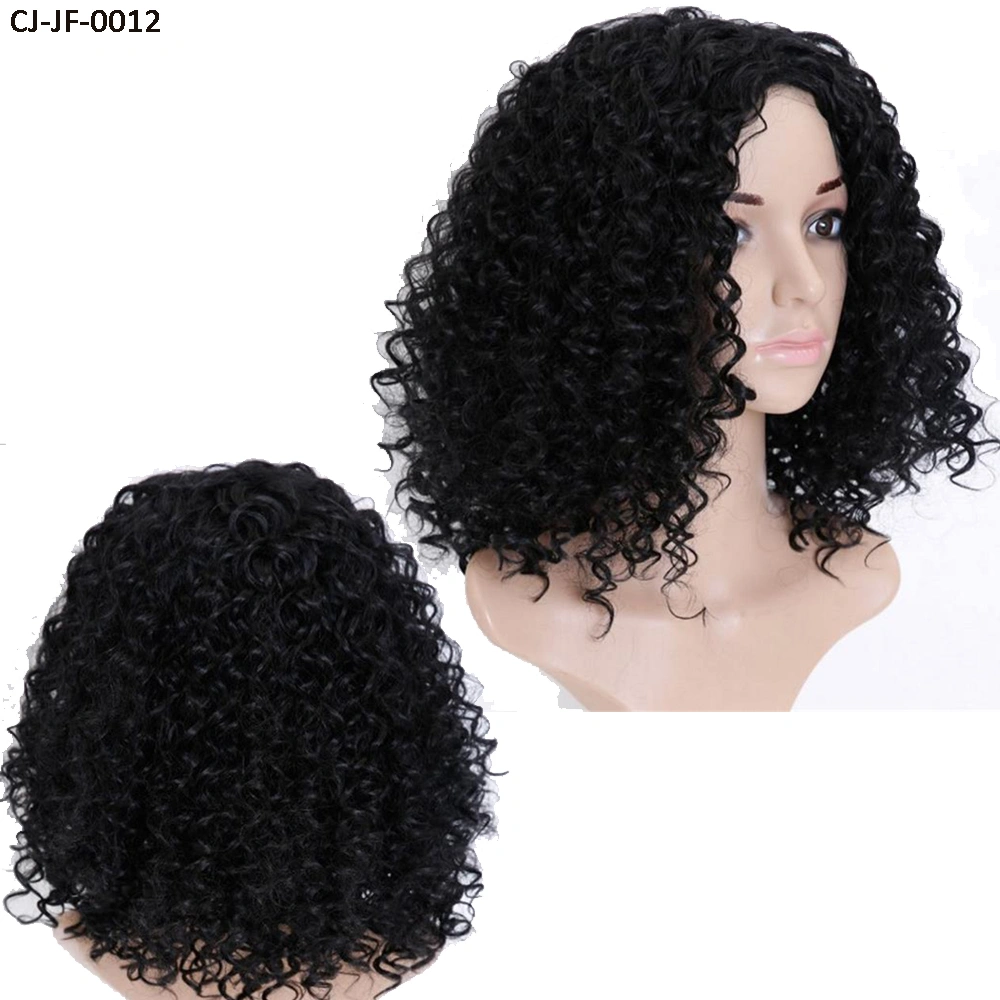 Fancy New Short Curly Hair Chemical Fiber High Temperature Silk Small Roll Afro Wig Cover Human Hair Full Lace Wigs for Women