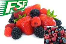 Frozen Berries (2011mb)