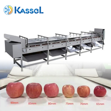 Apple Grading Machine for sale